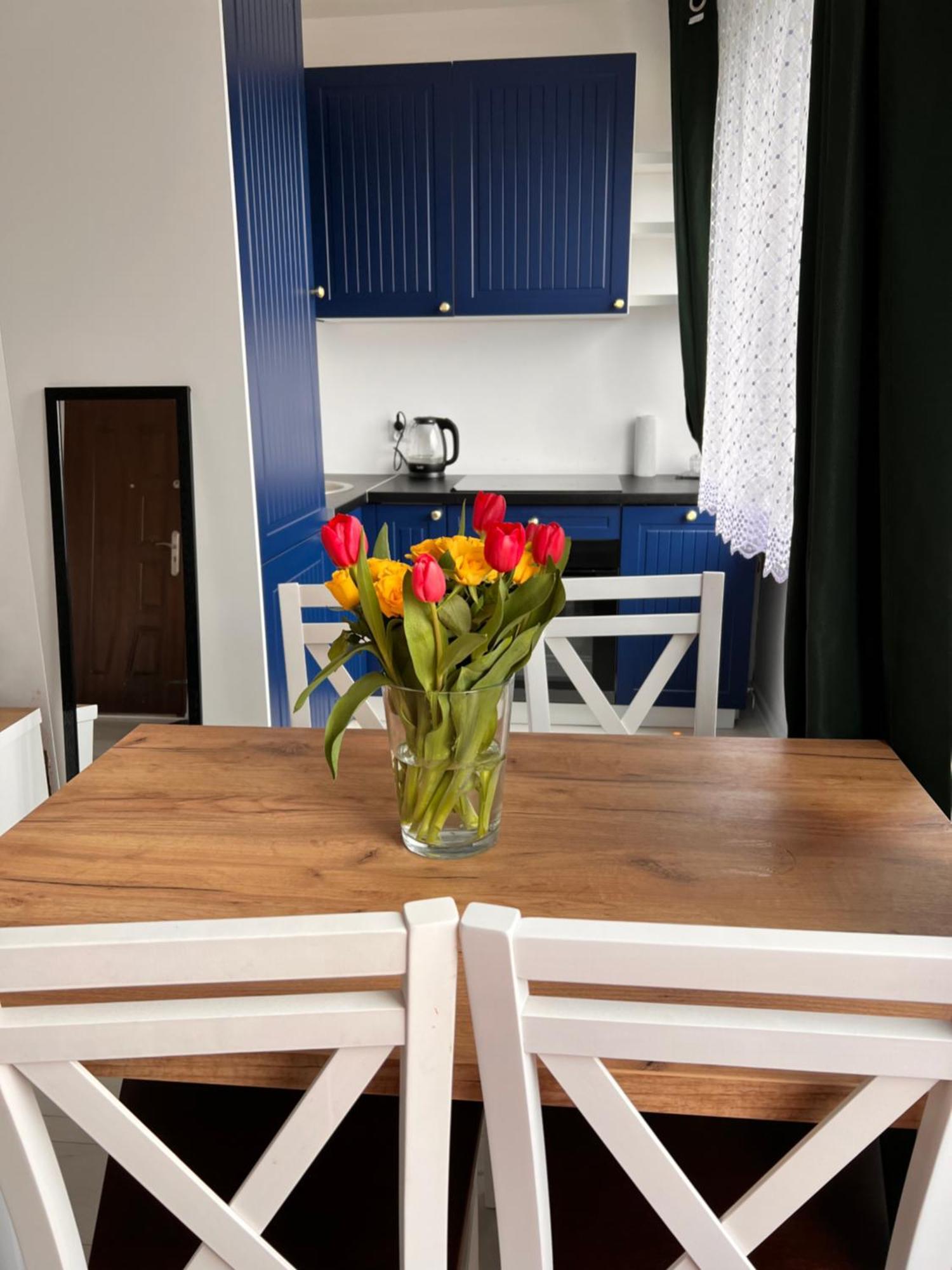 Mieszkanie 2 Pokoje, Przemysl, Parter Apartment *